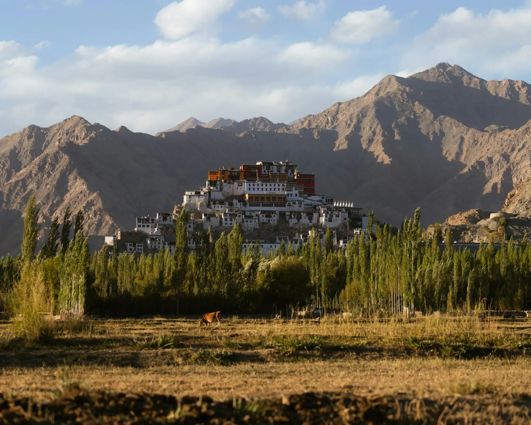 A monastery above the Indus valley near Leh