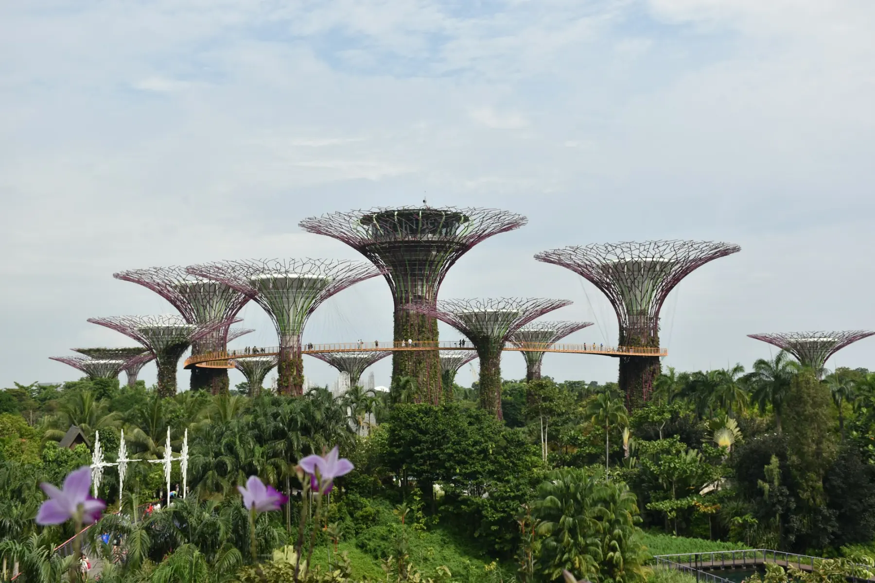 The Supertrees of Gardens by the Bay, Singapore