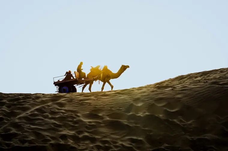 A camel crossing the dunes of the Thar near Jaisalmer